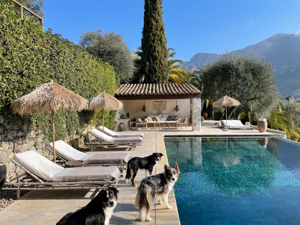 L'Escale Du Ciel Bed & Breakfast Le Bar-sur-Loup Luaran gambar